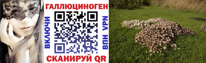 Псилоцибиновые грибы прущие грибы  Полевской 