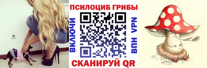 Галлюциногенные грибы Psilocybe Полевской