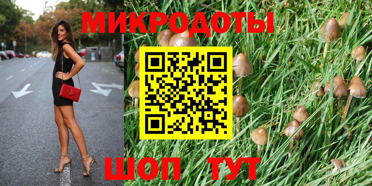 Псилоцибиновые грибы ЛСД  Вход с VPN  Полевской  Псилоцибиновые грибы Psilocybe 